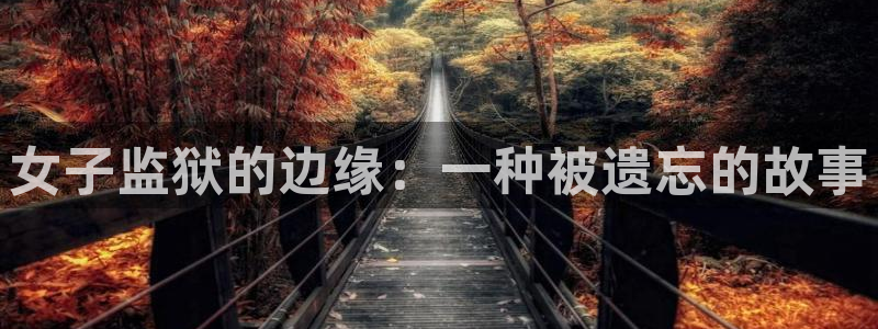 咚漫漫画app