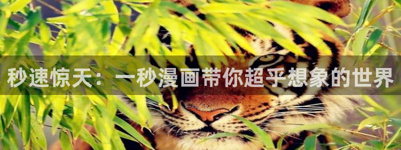 壁咚漫画韩漫